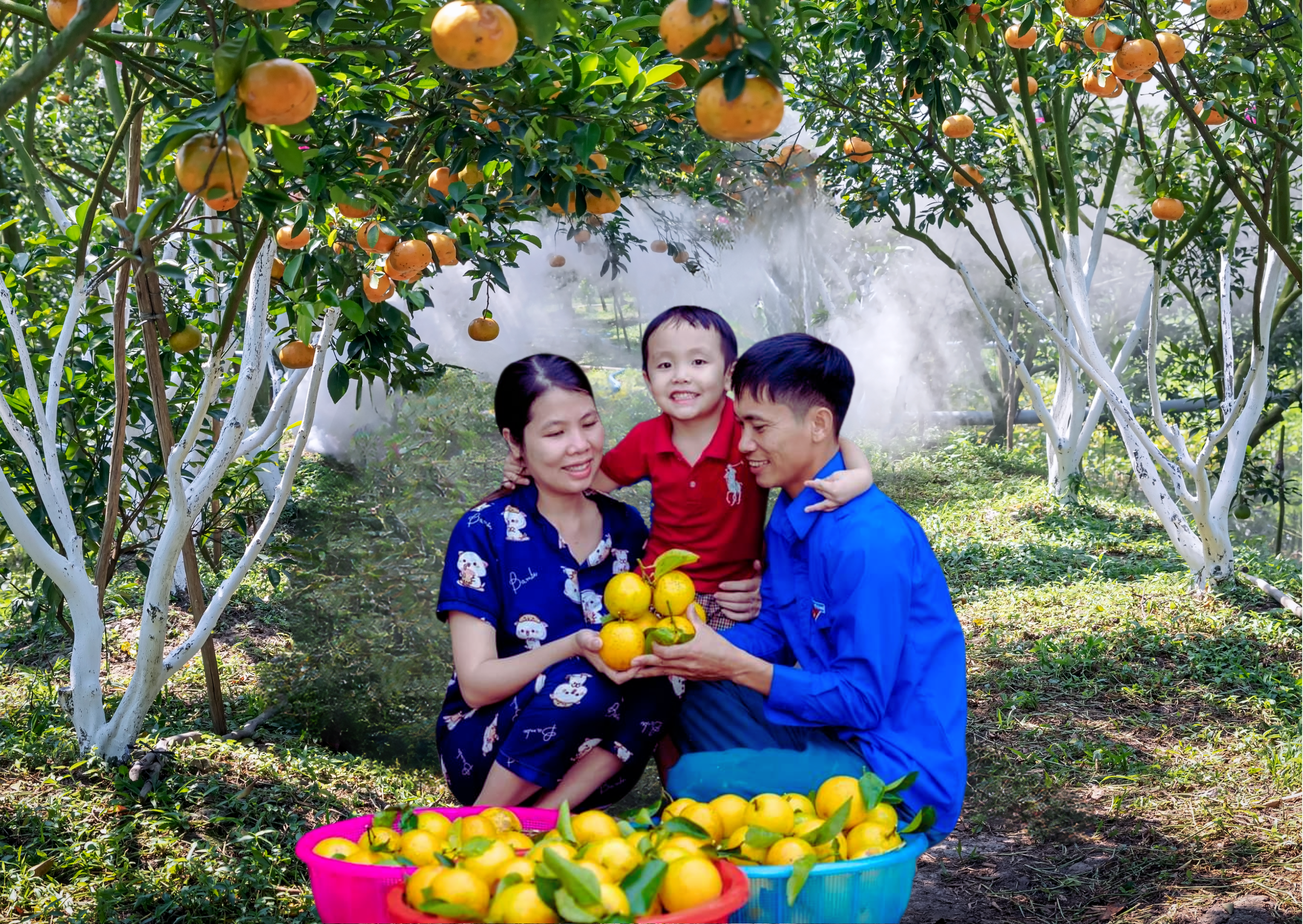 HKD Đoàn Ngọc Bảo